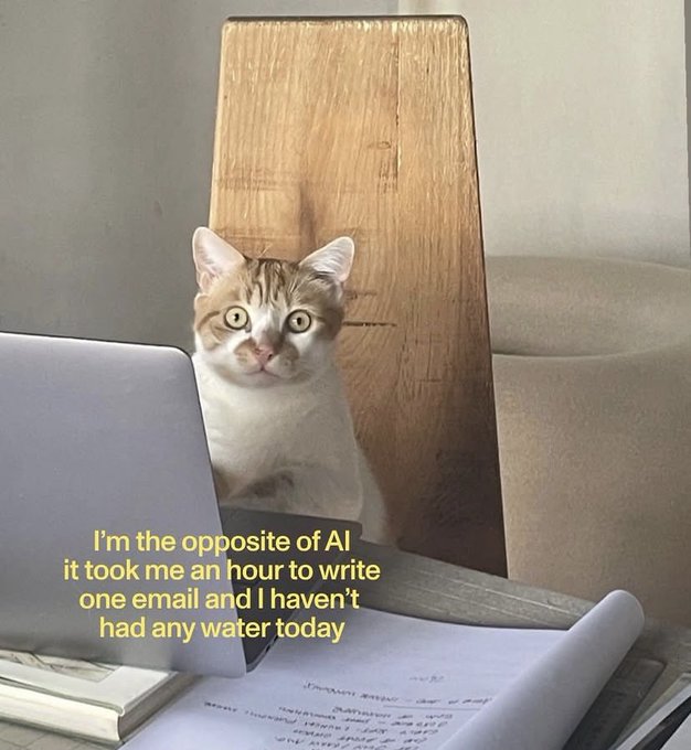 A meme featuring a cat sitting at a desk behind a laptop with handwritten papers, captioned: 'I'm the opposite of AI it took me an hour to write one email and I haven't had any water today'.