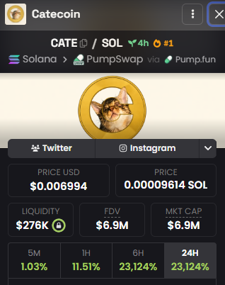 The image displays a cryptocurrency tracker page for Catecoin (CATE) on the Solana blockchain via PumpSwap, showing a price of $0.006994 (0.00009614 SOL), $276K liquidity, and a $6.9M market cap, with the token up 11.51% in 1 hour and 23,124% in 24 hours—aligning with the post's celebratory tone about a massive market-making gain.