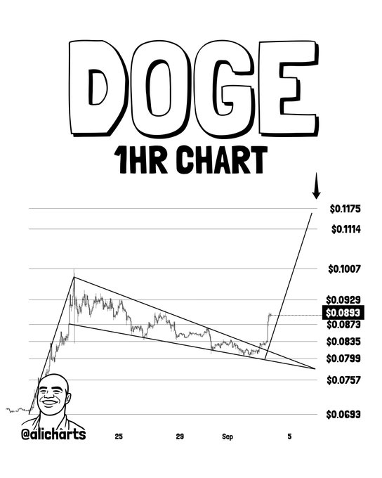 A "DOGE 1HR CHART" from @alicharts shows Dogecoin breaking out of a bullish flag pattern, with price spiking sharply upward to around $0.0893 after consolidating near $0.07-0.08, visually confirming the projected breakout toward $0.12 mentioned in the accompanying post.