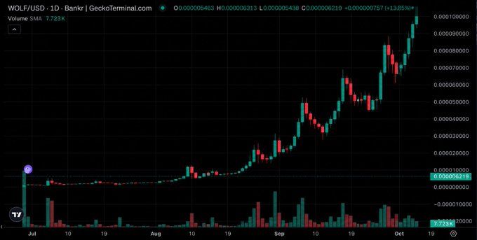 A daily candlestick chart for WOLF/USD on GeckoTerminal.com (Bankr) shows a strong uptrend from July to October, with volume increasing and current price around 0.000006219.