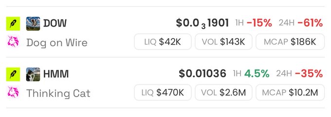 A cryptocurrency tracking interface displays two tokens: "DOW" (Dog on Wire) priced at $0.0₃1901, down 15% in 1H and 61% in 24H, with $42K liquidity, $143K volume, and $186K market cap; and "HMM" (Thinking Cat) priced at $0.01036, up 4.5% in 1H but down 35% in 24H, with $470K liquidity, $2.6M volume, and $10.2M market cap. The image directly visualizes the post's claim that both $DOW and $HMM experienced significant retracements from their previous highs, with HMM dropping from $36M to $10.2M and DOW from $800K to $186K, suggesting the trader "aped the dip" near what they believe is the bottom.