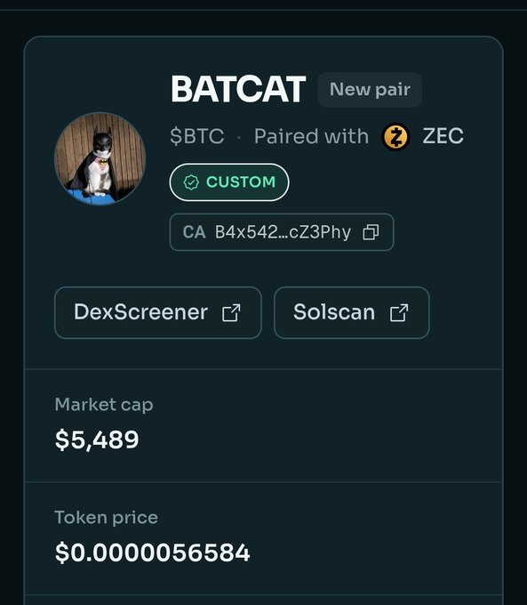 A cryptocurrency token page for 'BATCAT' labeled as 'New pair', paired with BTC and ZEC, showing a market cap of $5,489 and a token price of $0.0000056584, with links to DexScreener and Solscan.