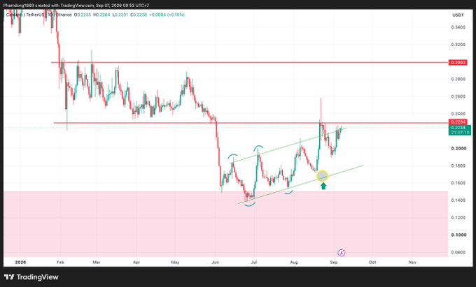 A TradingView candlestick chart for SUNC Network/USDT on Binance, showing price action with support/resistance lines and an ascending channel pattern.