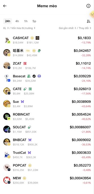 A mobile app screenshot titled 'Meme méo' (Vietnamese for 'Cat memes') displaying a list of cat-themed cryptocurrency tokens with their prices, market caps, and 24-hour price changes, showing tokens like CASHCAT, 哈基米, ZCAT, Basecat, CATE, Sue, ROBINCAT, SOLCAT, BNBCAT, TrustCat, POPCAT, and MEW.