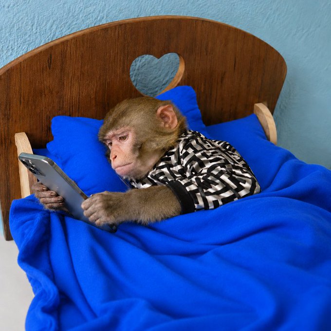 A monkey wearing a checkered shirt lies awake in bed under a blue blanket, intently staring at a smartphone instead of sleeping. The image humorously relates to the post by depicting the relatable scene of being unable to sleep due to Bitcoin's price surge in the early morning hours.