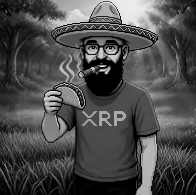A cartoon-style bearded man in a sombrero and glasses smoking a cigar, wearing a t-shirt with 'XRP' printed on it while holding a taco in a black and white forest setting.