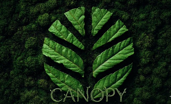 An arrangement of green leaves shaped like a tree canopy on a dark mossy background, with the word "CANOPY" displayed at the bottom in stylized lettering.