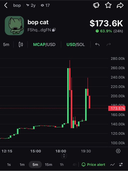 A trading chart for the token 'bop cat' showing a market cap of $173.6K, up 63.9% (24h), with a 5-minute price graph displaying significant volatility.