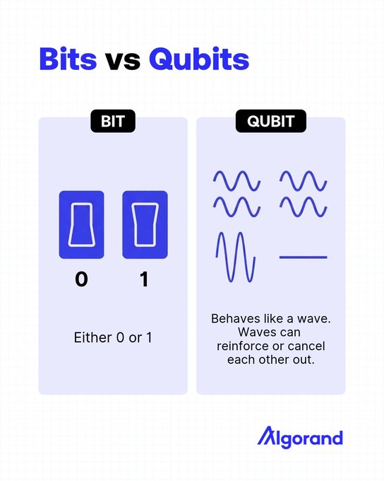 An Algorand educational infographic titled 'Bits vs Qubits' comparing traditional bits (either 0 or 1) with qubits that behave like waves which can reinforce or cancel each other out.