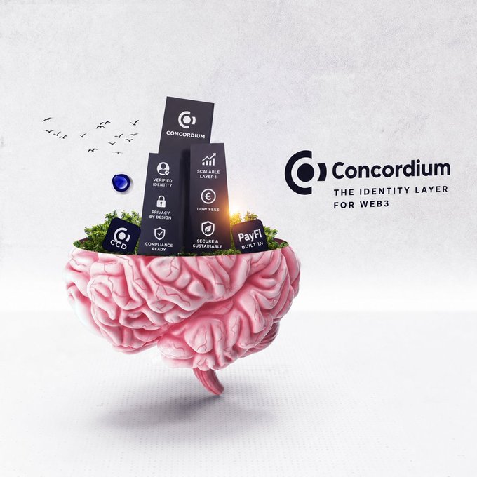A promotional graphic for Concordium blockchain featuring a pink brain-shaped island with grass on top, displaying features like 'VERIFIED IDENTITY', 'PRIVACY BY DESIGN', and 'PayFi BUILT IN', branded as 'THE IDENTITY LAYER FOR WEB3'.