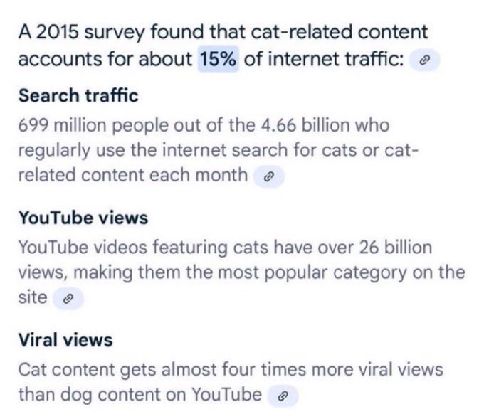 A text snippet about a 2015 survey on internet traffic: 'A 2015 survey found that cat-related content accounts for about 15% of internet traffic,' noting 699 million people search for cats monthly and cat videos get 26 billion views on YouTube.