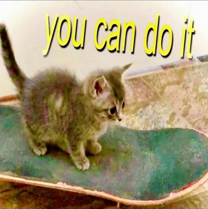 A small tabby kitten stands determinedly on a skateboard with the encouraging text "you can do it" displayed in yellow above it. The image relates to the "good morning" message by offering a motivational, lighthearted boost to start the day with a can-do attitude.
