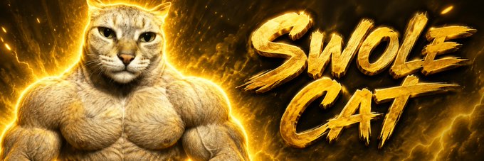 A muscular, anthropomorphized cat with an exaggeratedly buff physique stands against a fiery golden background, accompanied by the bold "SWOLE CAT" text in a stylized golden font. The image serves as a promotional graphic for the viral $SCAT meme coin featuring this meme character that has gained traction across social media platforms including X, TikTok, Reddit, and Instagram.