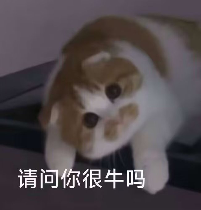 A small brown and white puppy with a tilted head looks at the camera, with Chinese text '请问你很牛吗' overlaid at the bottom.