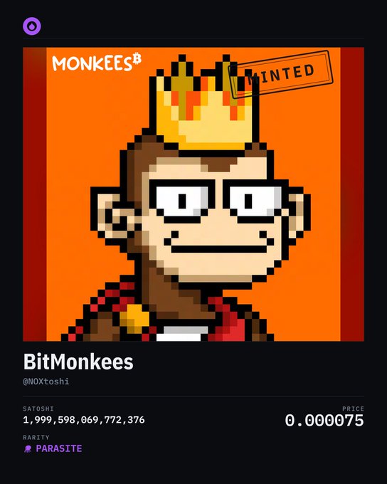 NFT marketplace listing for 'BitMonkees' by @NOXtosh1 showing a pixel art monkey with a crown, valued at 1,999,598,069,772,376 SATOSHI with a 'PARASITE' rarity tag.