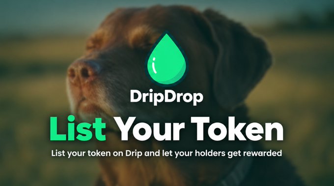 Promotional graphic featuring a close-up of a brown Labrador retriever's face overlaid with the green DripDrop water droplet logo and text reading "List Your Token — List your token on Drip and let your holders get rewarded," encouraging existing crypto communities to join the platform for holder rewards.