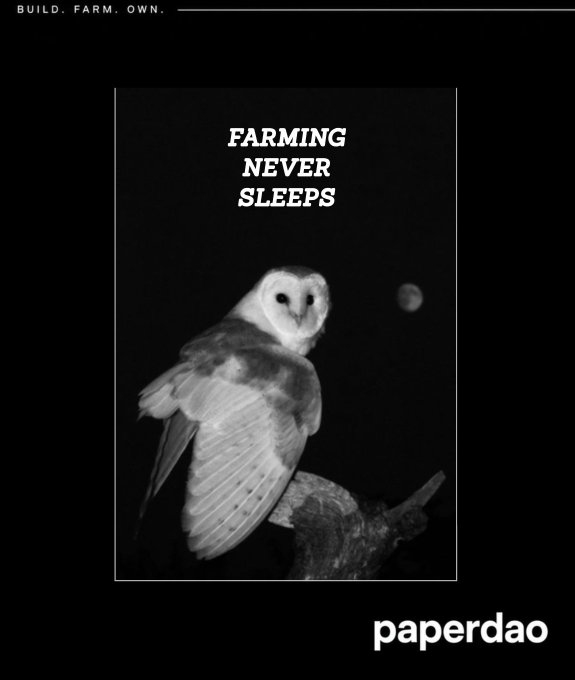 Black and white poster of a barn owl perched at night with the text "BUILD. FARM. OWN." at the top, "FARMING NEVER SLEEPS" in the center, and "paperdao" at the bottom.