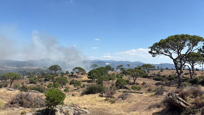 A landscape view of a dry, grassy field with scattered trees under a blue sky, showing smoke rising in the distance from what appears to be a wildfire near the mountains.