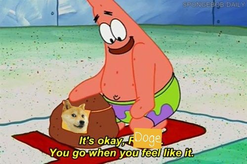 A SpongeBob SquarePants meme shows Patrick comforting a Shiba Inu dog (Doge) sitting in a bag, with the caption 'It's okay, Doge. You go when you feel like it.' and a 'SPONGEBOB-DAILY' watermark.