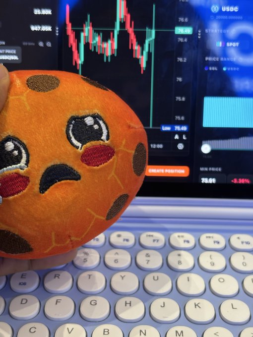 An embroidered plush cookie with a sad face held up in front of a laptop displaying a trading chart for USDT/USDC and a USDC spot trading interface, with the price showing a -0.30% change.