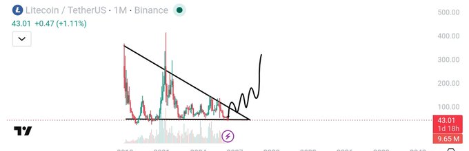 A TradingView chart of Litecoin/TetherUS (LTCUSDT) on the 1-month Binance timeframe shows LTC trading at $43.01 (+1.11%), with a hand-drawn descending triangle pattern and an upward arrow illustrating the post's bullish thesis of a reversal from the bottom targeting $400 and beyond.