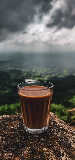 A glass of steaming chai rests on a mossy rock overlooking a lush, misty mountain valley under a dramatic cloudy sky, perfectly capturing the serene start to a morning with TRIBE.\n\nThe image's tranquil, elevated view complements the peaceful vibe of the post, which highlights @useTria (TRIBE) as part of a comforting morning routine.