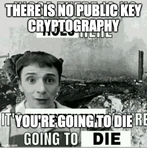 A black-and-white "insanity" meme features a wide-eyed, disheveled man with the text "THERE IS NO PUBLIC KEY CRYPTOGRAPHY" above and "IF YOU'RE GOING TO DIE RE GOING TO DIE" below, with the imgflip.com watermark visible.
