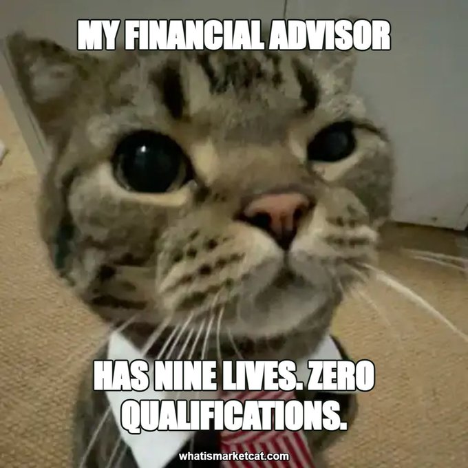 A popular meme featuring a serious-looking cat in a suit with the text 'MY FINANCIAL ADVISOR HAS NINE LIVES. ZERO QUALIFICATIONS.' watermarked with 'whatismarketcat.com'.