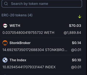 This image shows a crypto wallet displaying ERC-20 tokens including WETH, StonkBroker, and The Index, with their respective balances and values, which directly relates to the project's goal of building an AI Curation Protocol on Robinhood Chain.