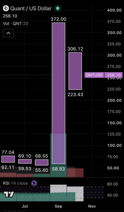 A cryptocurrency chart showing Quant (QNT) against the US Dollar, displaying a price of $256.10 with historical peaks at $372.00 and $306.12, with an RSI 14 indicator at the bottom.