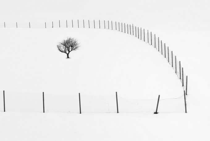 A minimalist black-and-white photograph of a solitary bare tree standing in a vast snowy field, partially enclosed by a curved fence line.