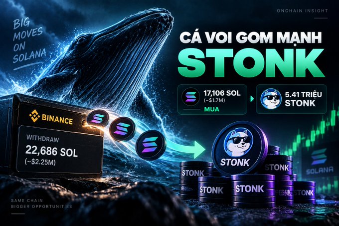 An on-chain insight graphic in Vietnamese titled 'CÁ VOI GOM MẠNH STONK' (Whales heavily accumulating STONK), showing Binance withdrawing 22,686 SOL (-$2.25M) and 5.41 million STONK being accumulated.