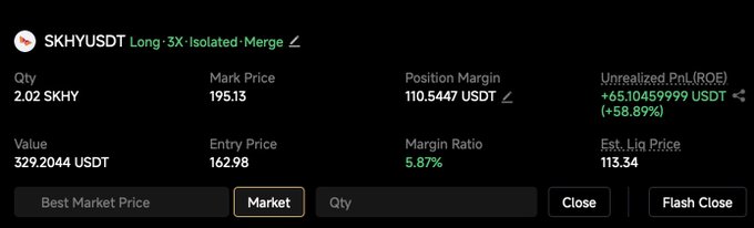 A cryptocurrency trading interface on a dark background showing a long position on SKHYUSDT with 3X leverage, displaying a quantity of 2.02, a mark price of 195.13, and an unrealized profit of +65.10 USDT (+58.89%).