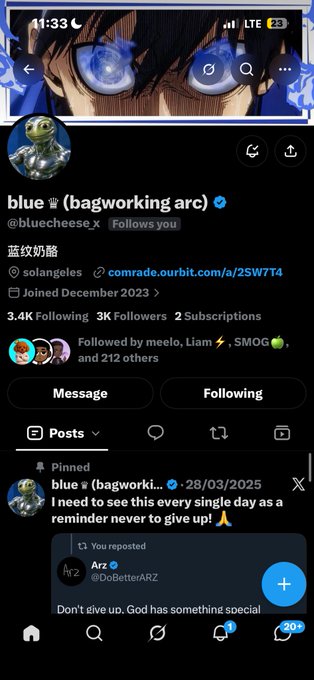 A mobile screenshot of a Twitter/X profile for 'blue ☾ (bagworking arc)' (@bluecheese_x), showing 3K followers and a pinned post about not giving up.