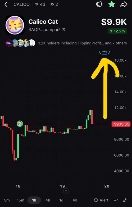 A crypto price chart showing the token 'Calico Cat' (CALICO) priced at $9.9K, up 12.2%, with a prominent yellow arrow pointing sharply upward indicating a major price spike.