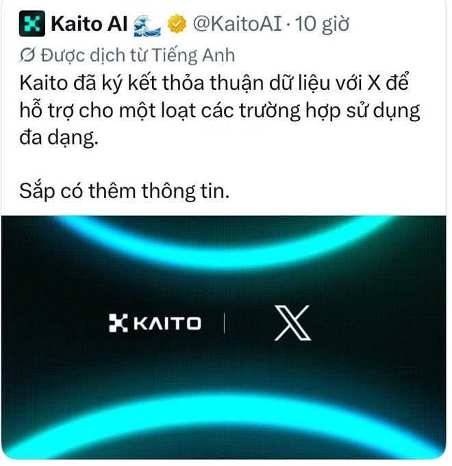 A Vietnamese-translated tweet from Kaito AI (@KaitoAI) announcing a data agreement with X to support diverse use cases, featuring a blue-lit graphic with Kaito and X logos.