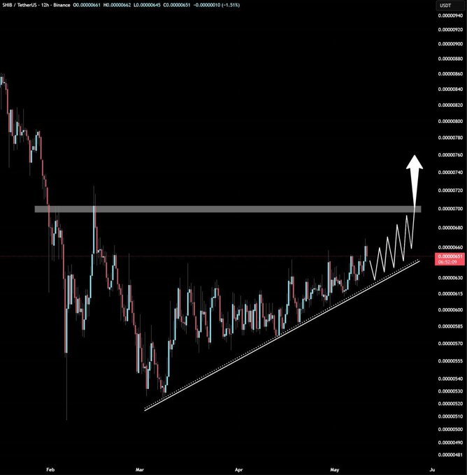 A cryptocurrency trading chart for SHIB/TetherUS showing price movements from February to June, featuring a white arrow indicating a predicted upward breakout above a resistance line.
