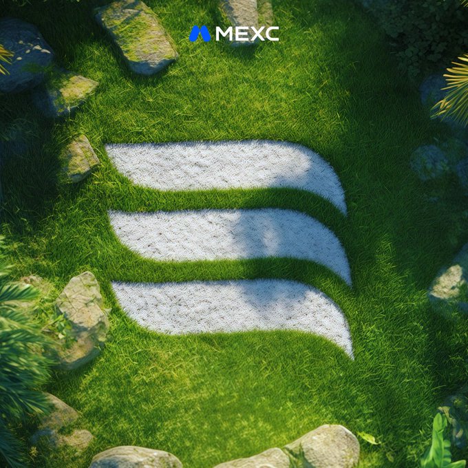llor logo on a green lawn, surrounded by rocks and palm trees.