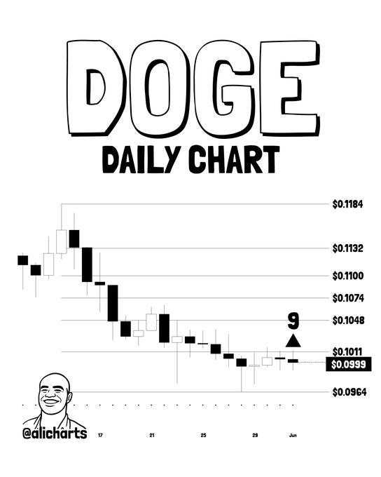 This is an illustration of the daily chart for Dogecoin with a person's face in black against white. The graph shows a price line starting at $0.096, with the price increasing rapidly over time. A buy signal was displayed on this day, resulting in the upward trend shown in the chart. The post mentions that there is support at $0.096 and possibly another potential next price point of $0.1.