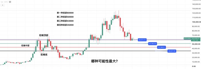 A Bitcoin candlestick chart displays key retracement levels (23.6%, 38.2%, 50%, 61.8%) and Fibonacci targets up to 60,000, with annotations in Chinese including "哪种可能性最大?" ("Which possibility is the largest?"). The chart visually illustrates the post's scenario of pushing BTC above 100,000 before shaking out weak hands near the all-time high, with current price action hovering around the 75,000 resistance zone.