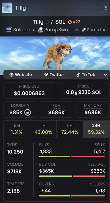A crypto trading dashboard for the 'Tilly' token on Solana/PumpSwap via Pump.fun, showing a price of $0.0006863, market cap of $686K, and 24H change of +59.32% with a brown dog illustration.