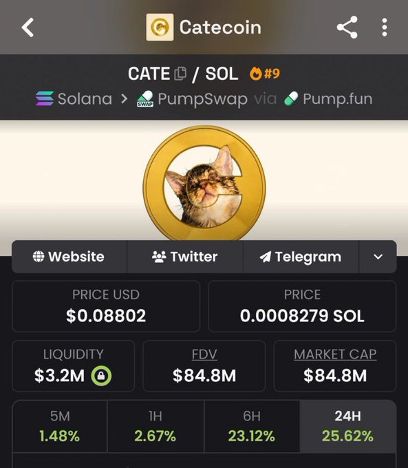 The image shows a cryptocurrency tracking page for "Catecoin" (CATE/SOL) on PumpSwap via Pump.fun, displaying a current price of $0.08802, market cap of $84.8M, and notable 24-hour gains of 25.62% alongside other timeframes (5M: 1.48%, 1H: 2.67%, 6H: 23.12%). This appears to serve as visual "proof" of the poster's successful $CATE callout mentioned in the caption, which claims the coin previously surged to $150M market cap.