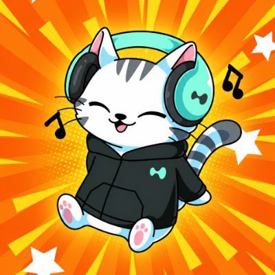 A cartoon cat with white and grey stripes wears black headphones and a black hoodie, sitting happily with musical notes around it on an orange starburst background.