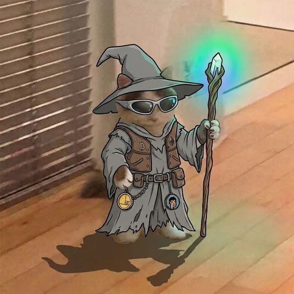 A teddy bear dressed as a wizard, wearing sunglasses and holding a glowing staff, stands in a doorway—embodying the "not wrong, just early" sentiment with its quirky, prescient appearance suggesting future Wizard of Oz or fantasy market trends.