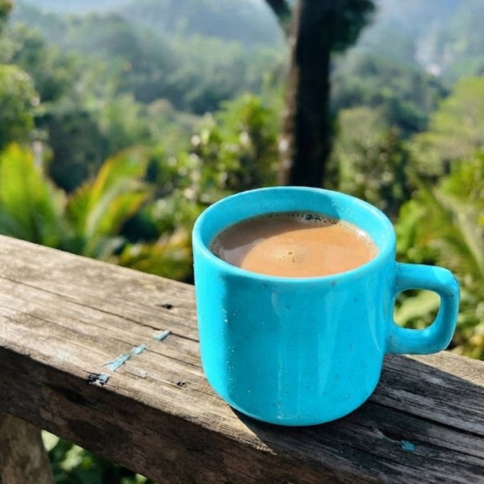 A blue ceramic mug filled with a light brown beverage sits on a weathered wooden railing, with lush green foliage and hills visible in the background.