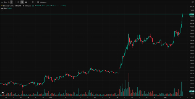 A Binance Coin/USDT 4-hour candlestick chart displaying a strong upward price trend on the trading platform interface.