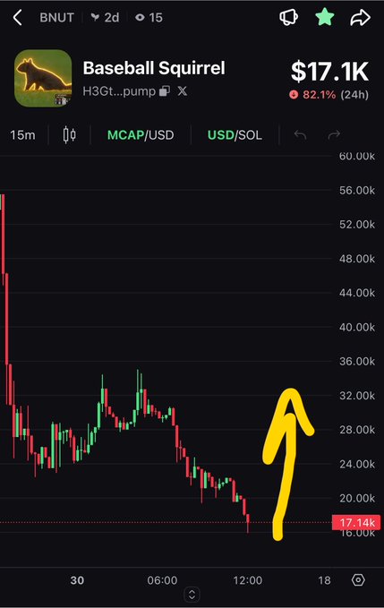 A crypto chart shows "Baseball Squirrel" ($BNUT) at $17.14K with an 82.1% drop in 24 hours, featuring a yellow upward arrow drawn near the current price level—suggesting the poster views the steep decline as a buying opportunity for the Solana-based memecoin.