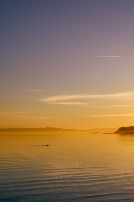 A serene sunset scene over calm water with a lone kayaker silhouetted against the golden and purple gradient sky.