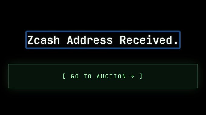 A dark screen with a blue-bordered text box displaying 'Zcash Address Received.' and a green-bordered button below reading '[ GO TO AUCTION > ]'.