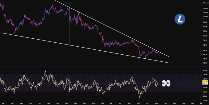 A Litecoin ($LTC) daily candlestick chart displayed on the LiteBringer platform shows a descending channel pattern with prices ranging from approximately $35 to $120 throughout 2024, accompanied by a daily RSI indicator at the bottom showing overbought and oversold levels, with cartoon eyes overlaid to suggest a watchful outlook on a potential "silver cross of a lifetime."